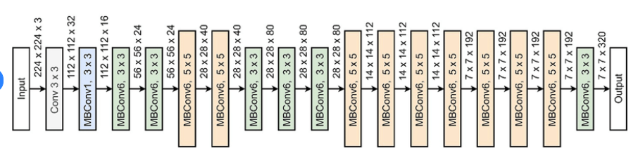 EfficientNetB0 architecture.