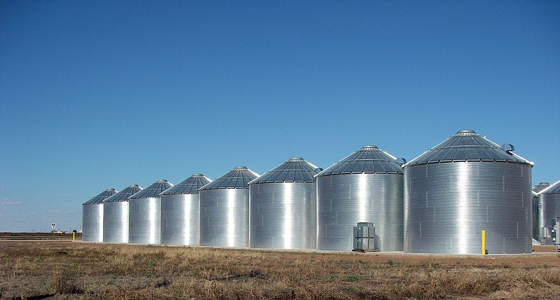 Sap store and Grain