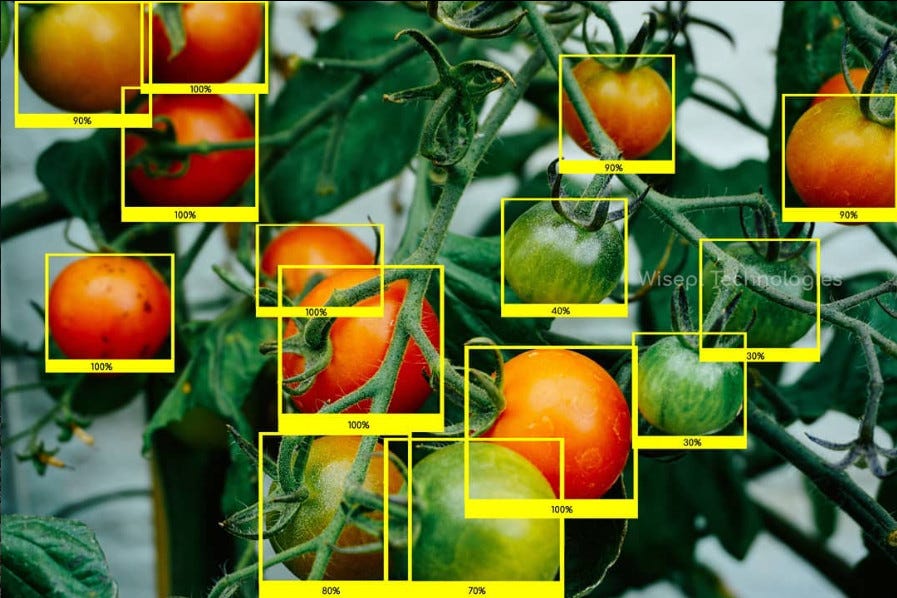 Enhancing AI-Powered Agriculture with Fruit Level & Maturity Detection