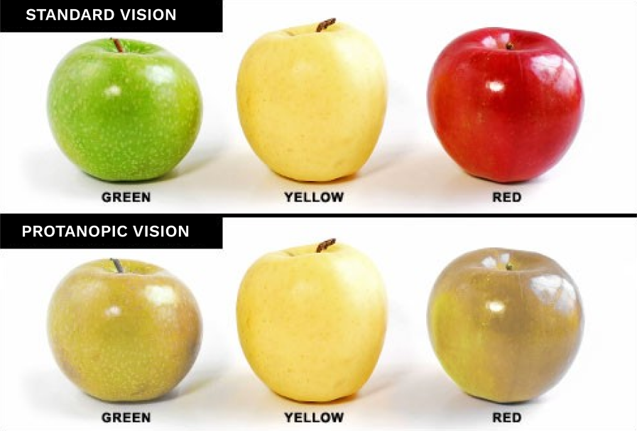 Image of 3 apples of different colors as viewed by people with Dueterenopia
