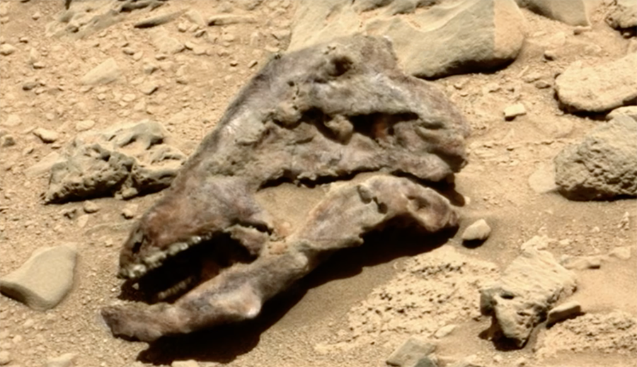 Alien Fossils on Mars are Life-mimicking with Non-biological Origins?—
