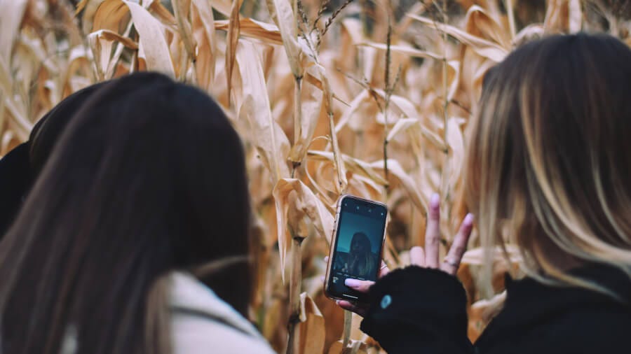 Teenage girls taking selfie on a corn plantation during agro tourism tour