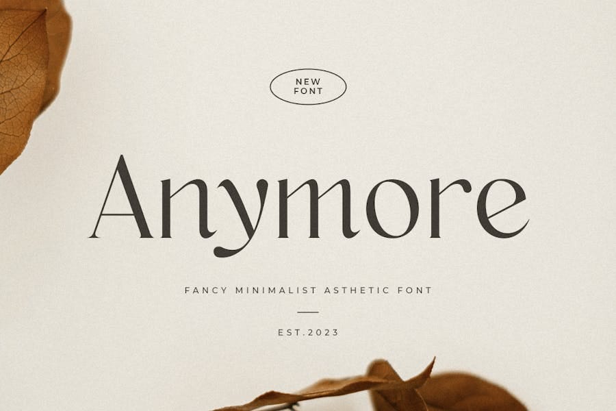 Anymore — Fancy Minimalist Aesthetic Font