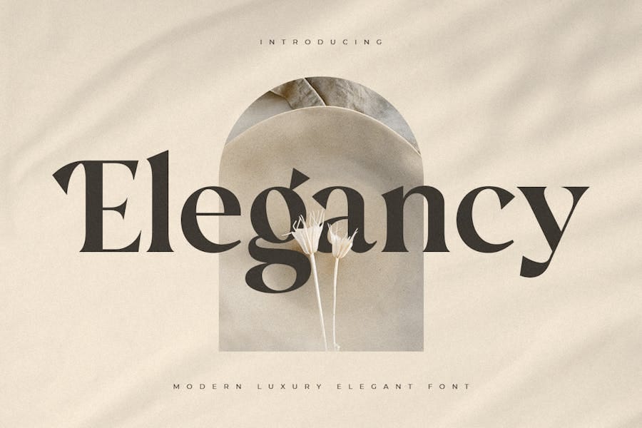 Elegancy — Modern Luxury Elegant Font