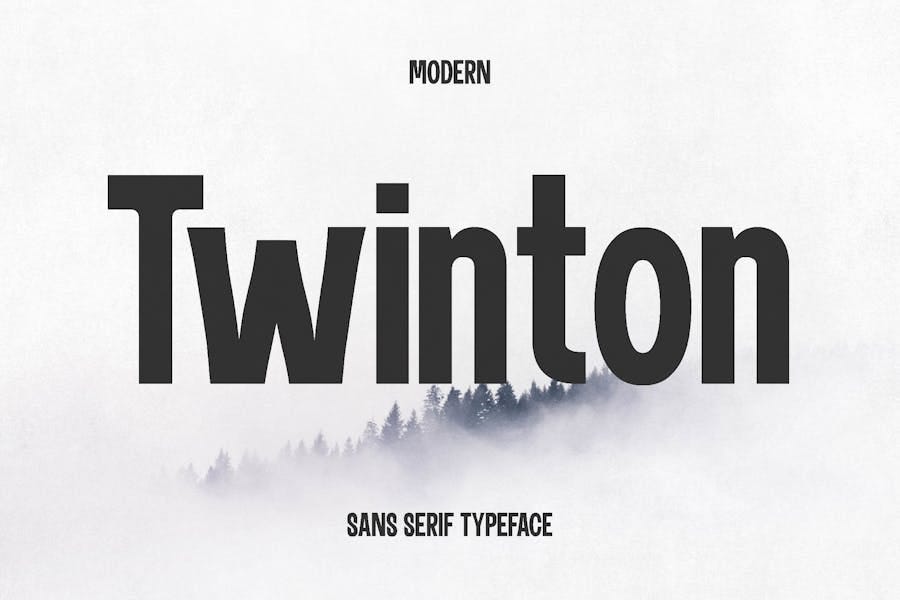 Twinton — Modern Sans