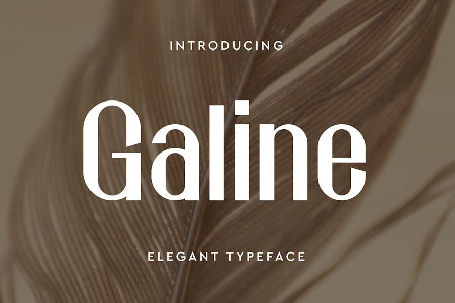 Galine | Minimalist Elegant Font
