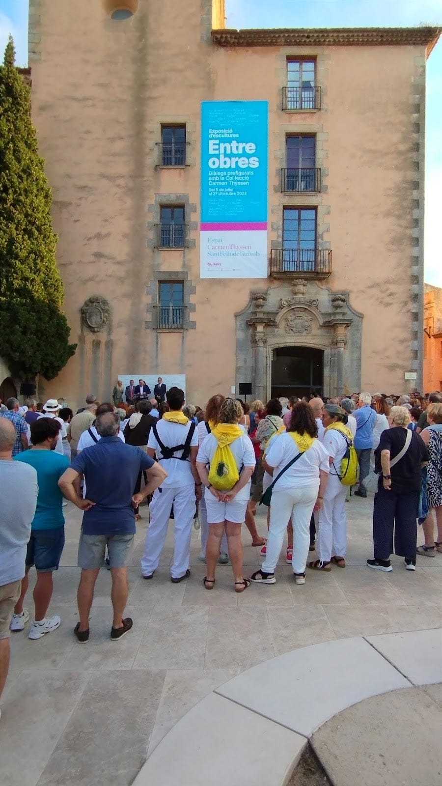 Guillermo Cervera, General Curator Carmen Thyssen Collection, in his speech at the opening ceremony. Photo: Pilar Viviente.