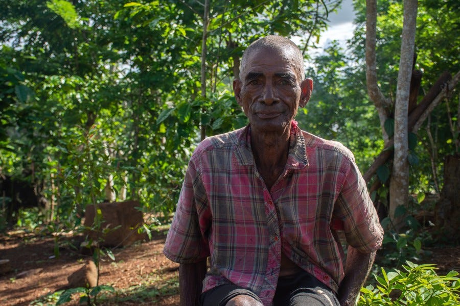 Cacao farmer Emile Gatson sits among a canopy of trees in a forest in Madagascar.