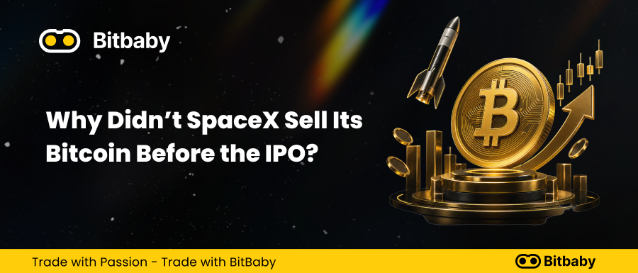 Why Didn’t SpaceX Sell Its Bitcoin Before the IPO?