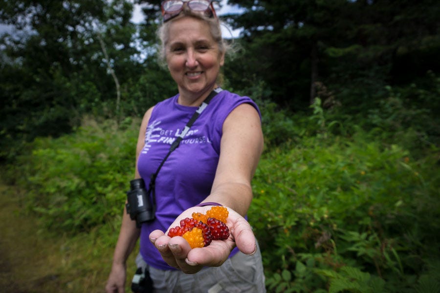 Berries in Alaska