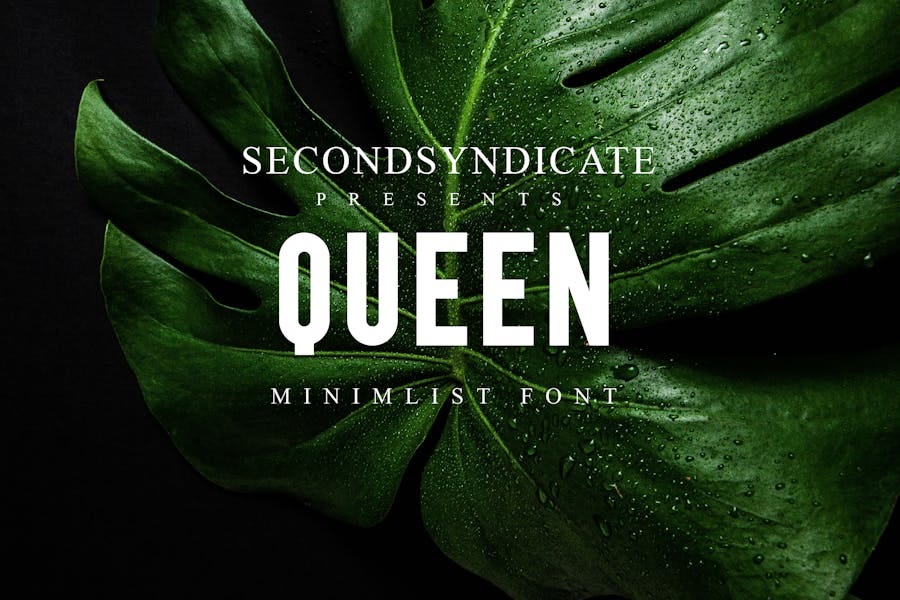 Queen — Minimalist Font