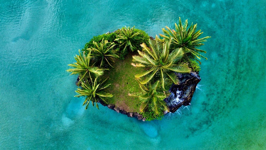 Palm trees on a small private island in Hawaii. Photo taken by Cody Reppert
