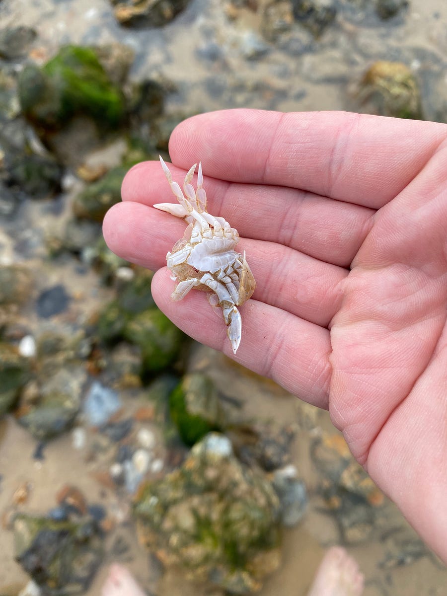 spent a long weekend in Blakeney, on the north Norfolk coast