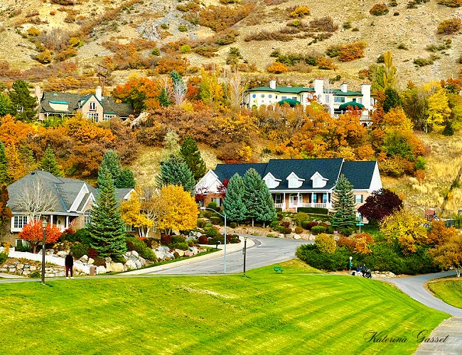 This is a photo of a community in Provo Utah with luxury homes surrounded by trees and mountains. Photo by Katerina Gasset and Tristan Gasset Mother and Son Real Estate Team in Utah brokered by eXp Realty