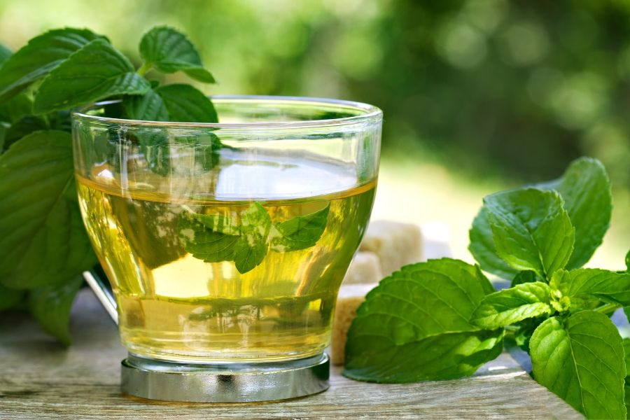 Fast way to lose weight effectively with green tea and mint