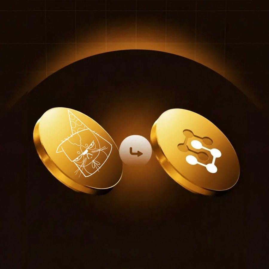 The Squirrel Plays the Long Game: Why SRCOIN’s Fundamentals Are Built Exactly for This Market
