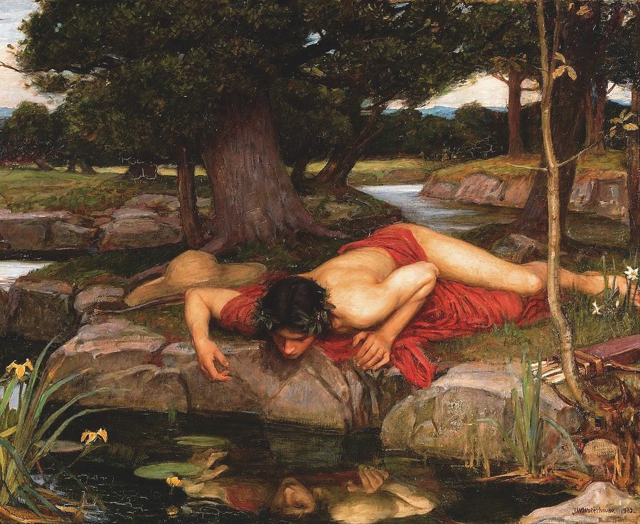 Narcissus and Echo by John William Waterhouse