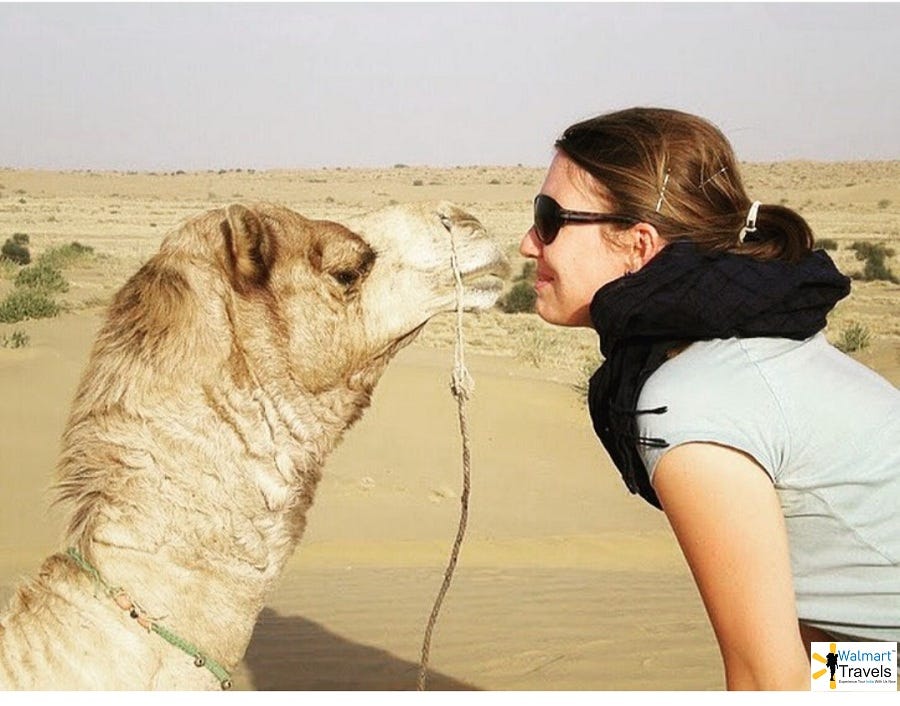 Best Time To Visit Desert National Park Jaisalmer