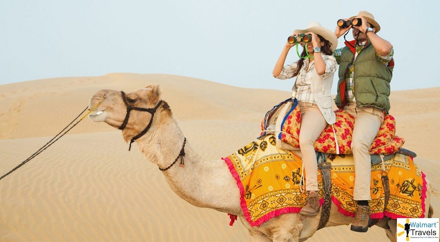 Sightseeing Around Desert National Park Jaisalmer