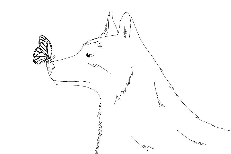 Personal sketch of a wolf and a buttefly