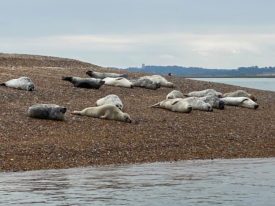 spent a long weekend in Blakeney, on the north Norfolk coast