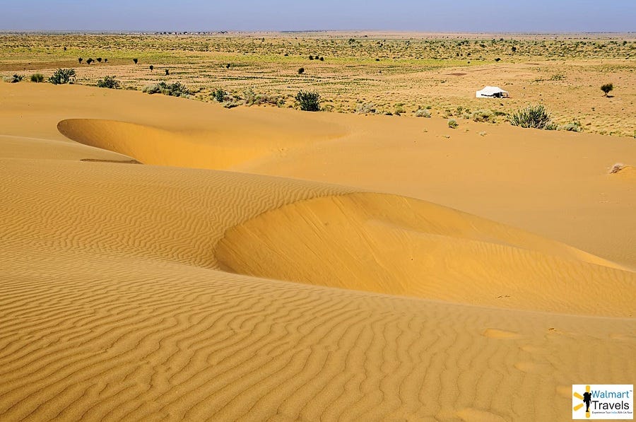 Desert National Park Jaisalmer Rajasthan