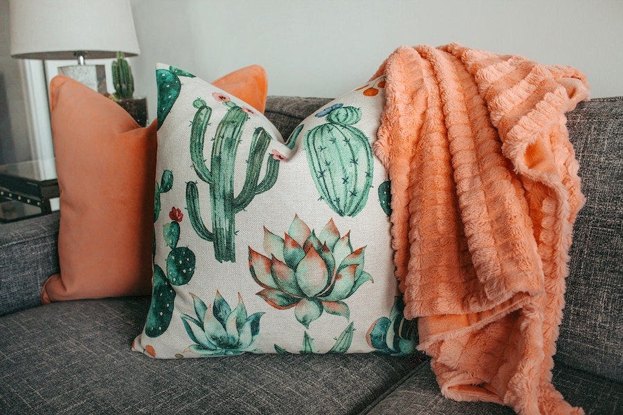 Succulent and orange pillows on a gray sofa