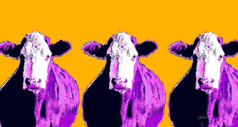 Three purple cows in a row facing head on. Set on a mustard background.
