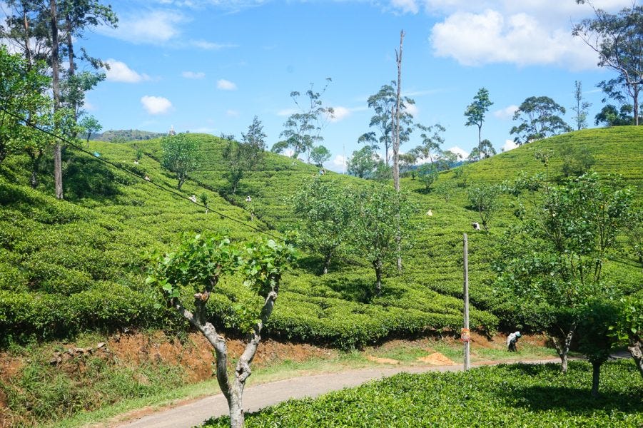 Nuwara Eliya