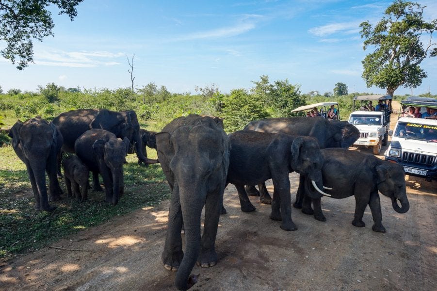 Udawawlae National Park