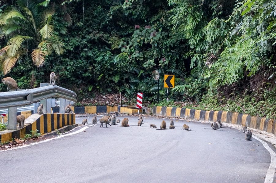 Penang Hill