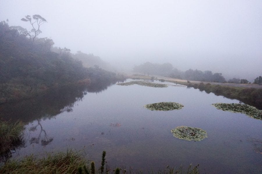 Fog at Horton National Park