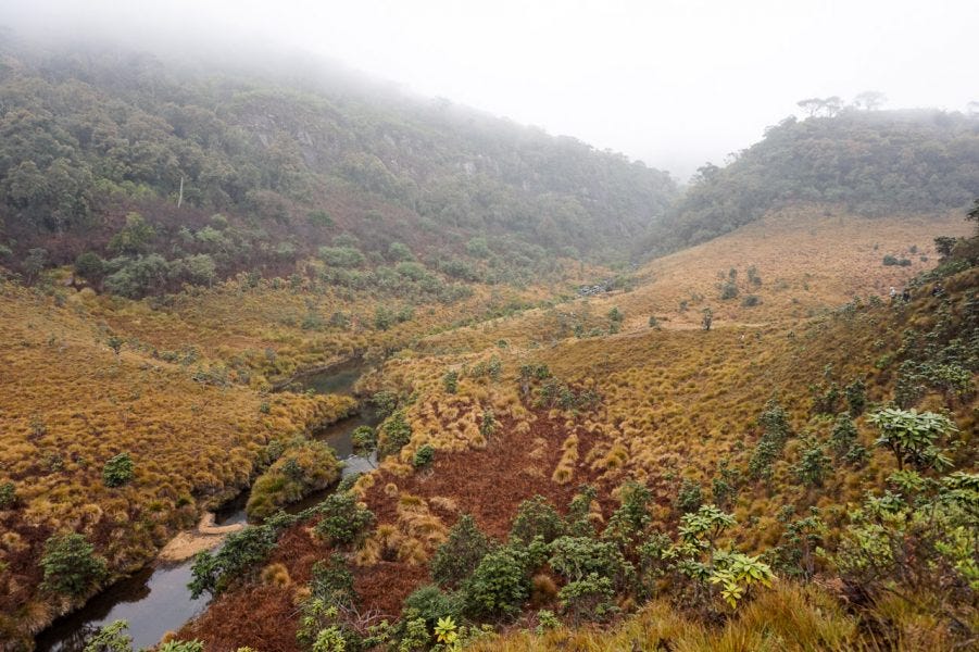 Horton Plains National Park