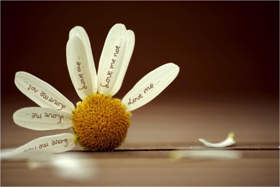 Loves me, loves me not