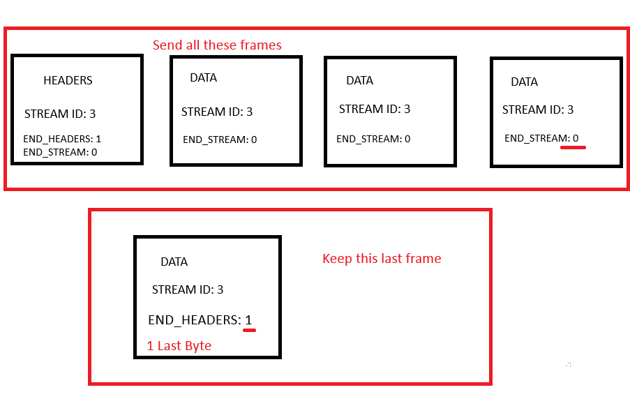 Frames in Single Packet Attack