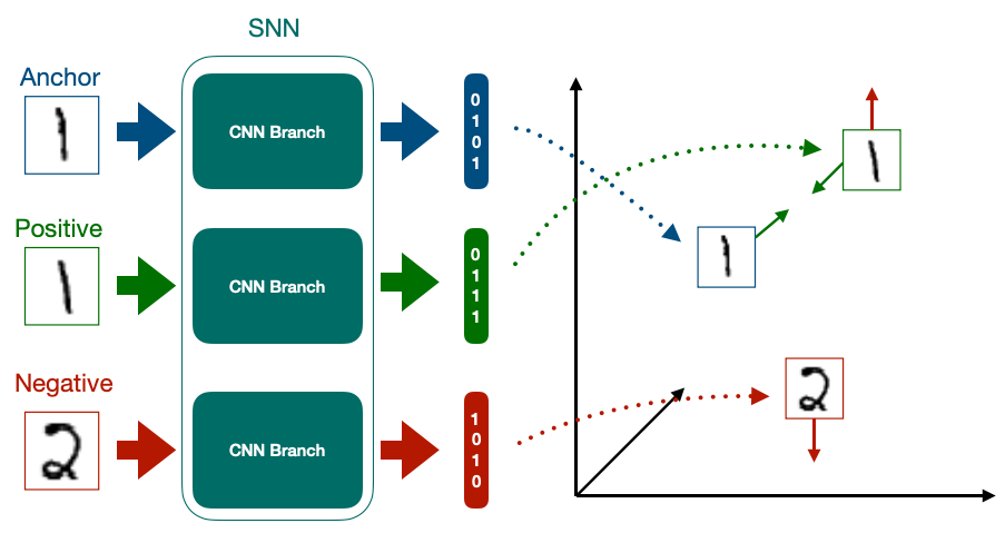 Left: 3 input imgs labelled anchor, positive, negative. Centre: An SNN embedding the imgs. Right: The images embedded, arrows showing positive and negative are pushing away, positive and centre are getting closer.