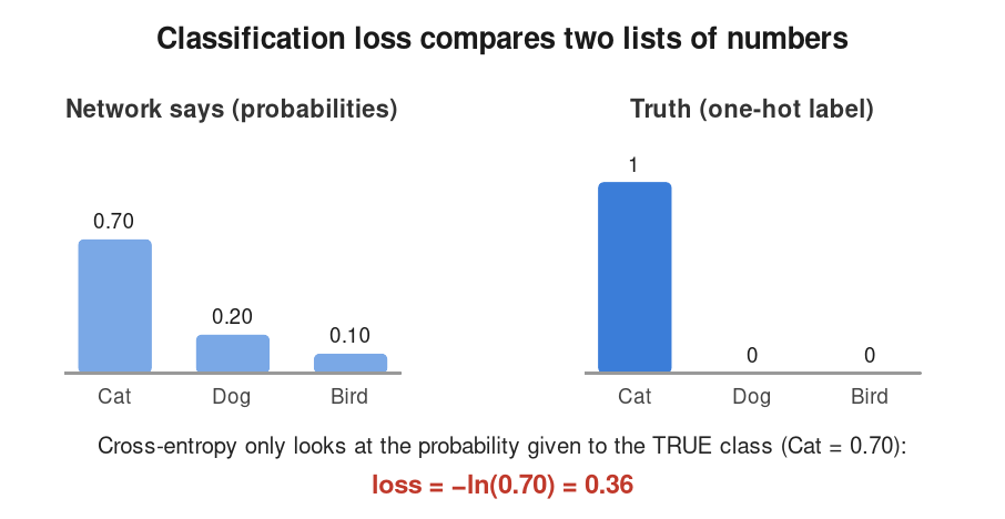 How Cross-Entropy and Classification Loss work Inside Neural Networks