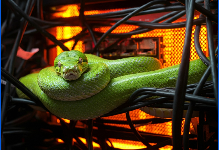 Private Pypi Registry on GCP