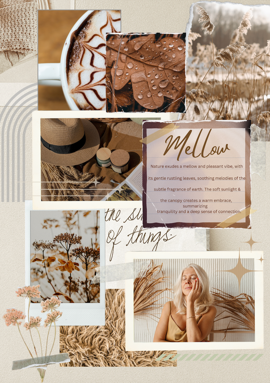 You can create a compelling mood board that effectively communicates the mood, aesthetic, and vision of your project to yourself, your team, or your clients.