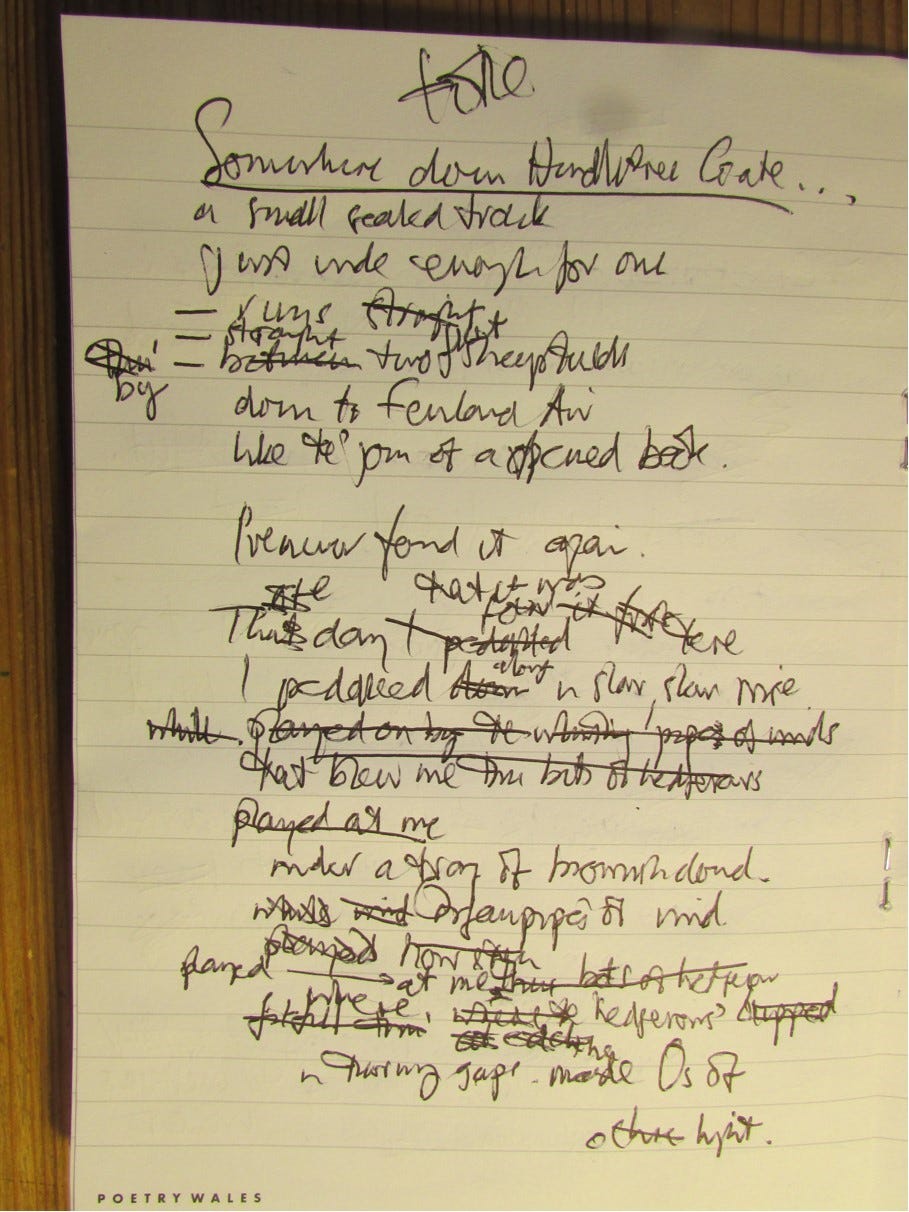 closeup photograph of a handwritten draft poem in black ink on white paper, amended and annotated.