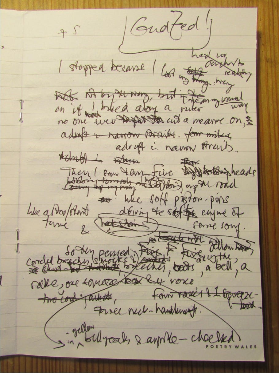 closeup photograph of a handwritten draft poem in black ink on white paper, amended and annotated.