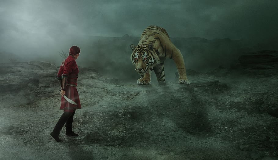 Man wielding a knife against a big tiger