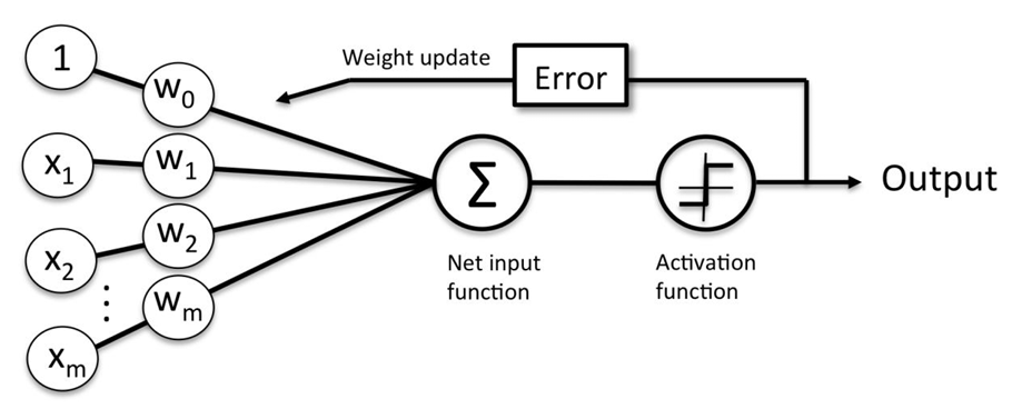 Illustration of the whole process of training and adjusting the weights of a perceptron