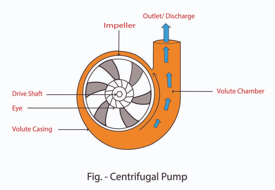 Single-stage pumps feature one impeller and one stage, making them the simplest form of centrifugal pump.