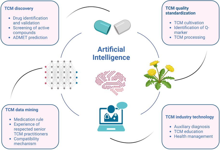 Ancient Remedies, Modern Tools: The Role of AI in Evaluating Traditional Chinese Medicine