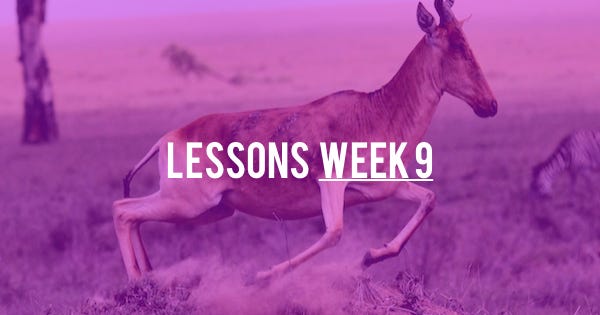 Lessons learnt in week 9