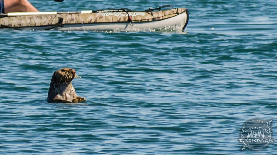 Fishing in Anchor Point Alaska