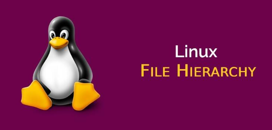 Module 2.1 — Introduction to FHS