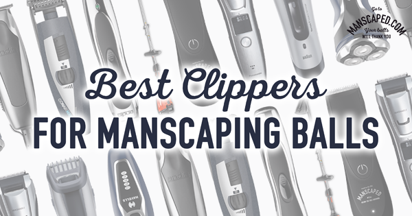 best buzzer for manscaping
