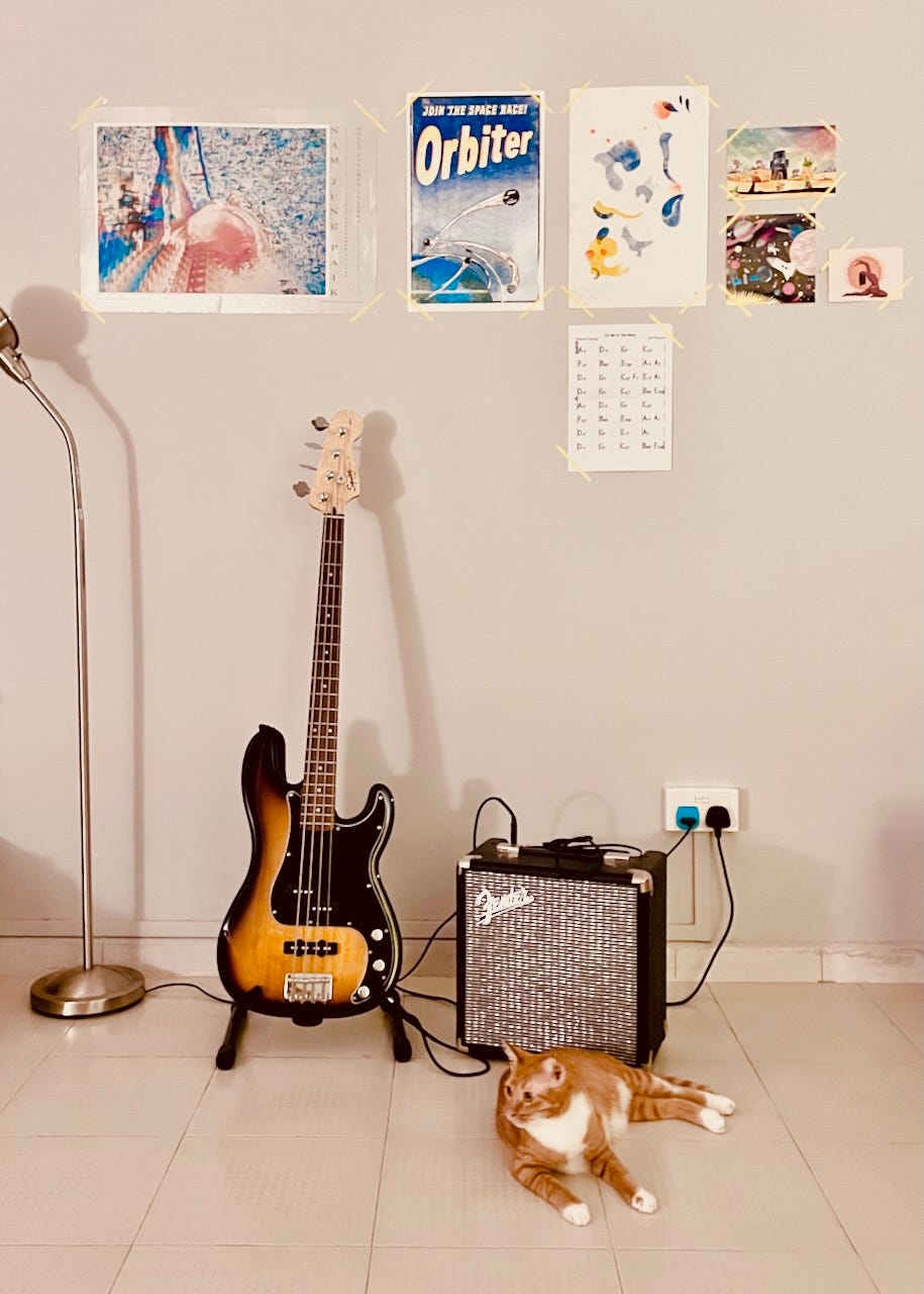 Bass guitar, amp, and ginger cat against a light grey wall